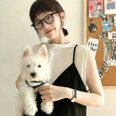 疯狂巡警